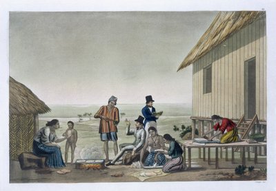 Occupations of the Agagna People, Mariana Islands, plate 29 from 
